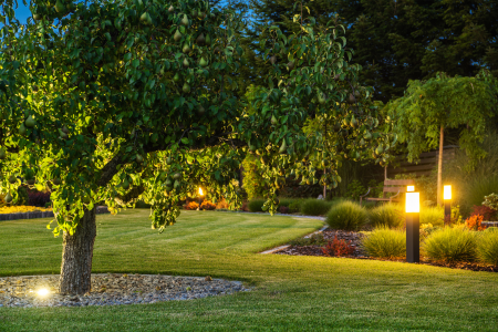 Outdoor lighting installed among trees and planters.